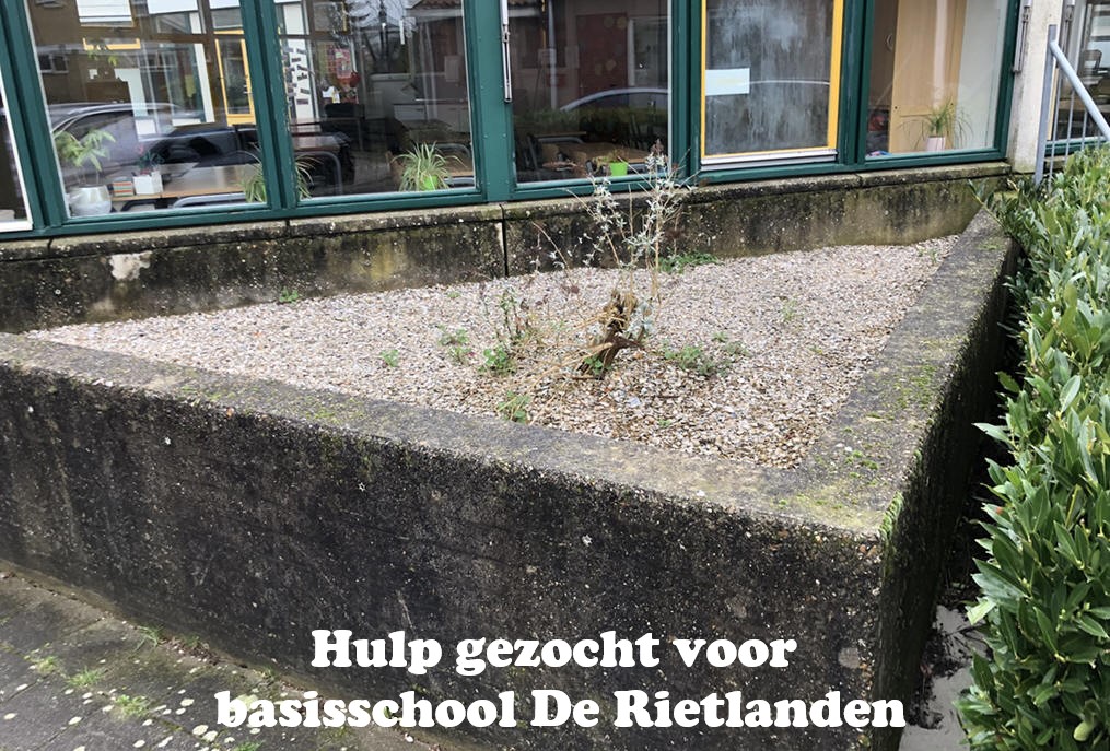 Hulp gezocht voor basisschool De Rietlanden