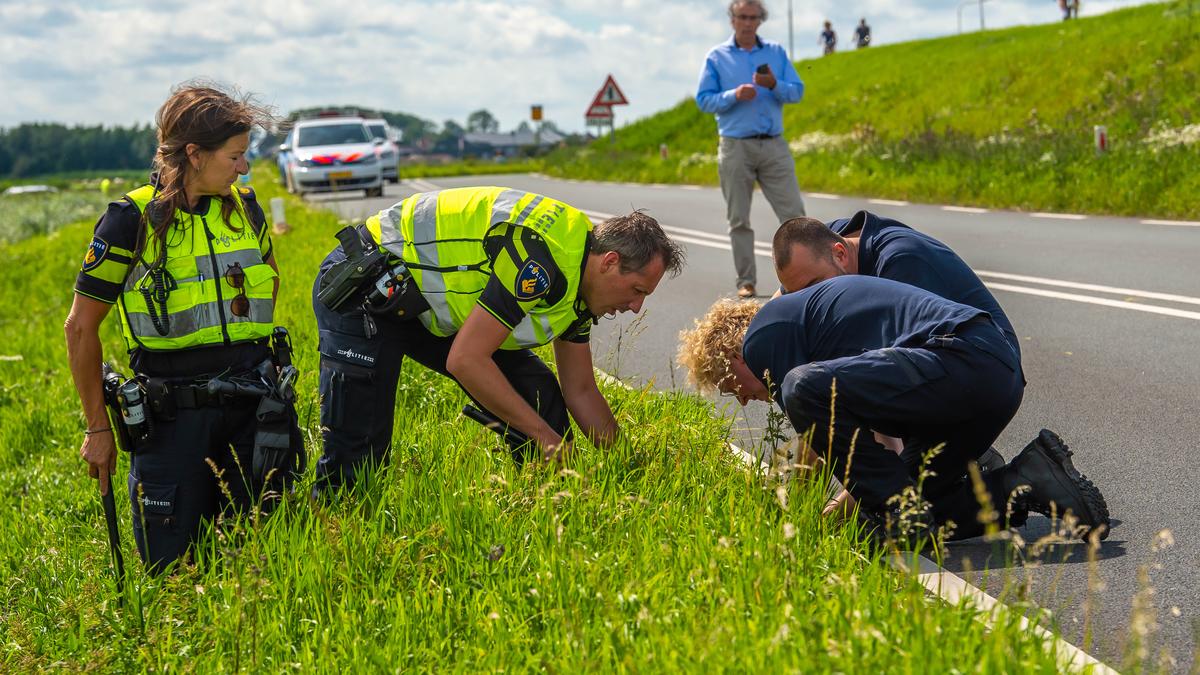 Podcast over dodelijke aanrijding Tamar op Marken