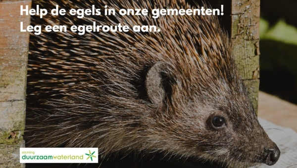 Meld je aan: wedstrijd voor de langste egelroute